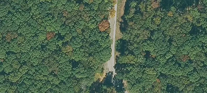 Wooded Land