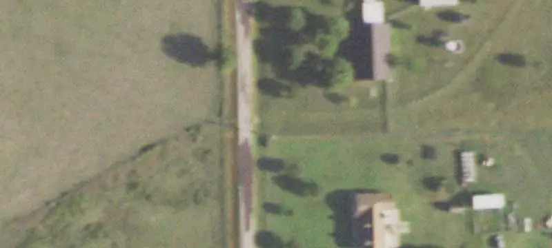 Agricultural Land with Tree Cover