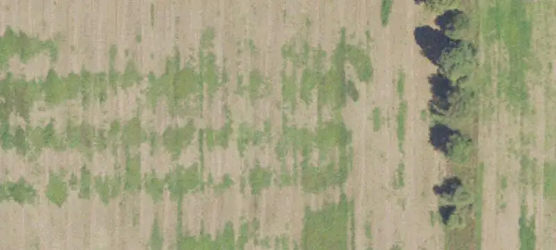 Producing Farmland