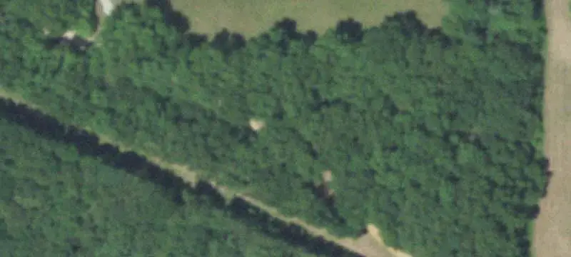 Wooded Hunting Land