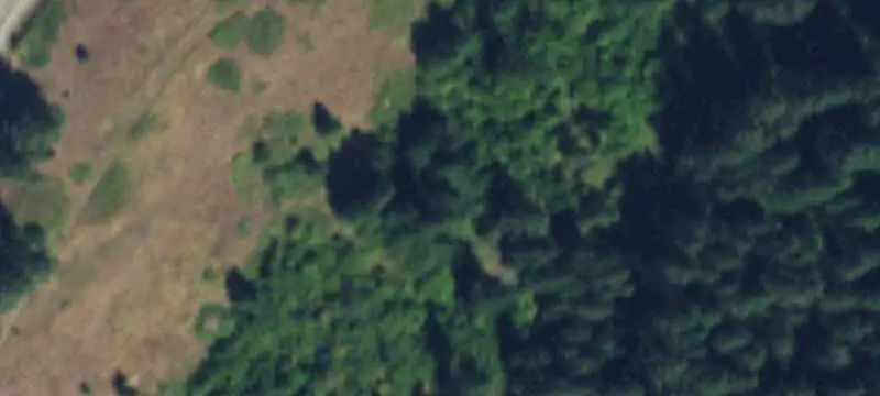 Timber Land Above Lake Roosevelt