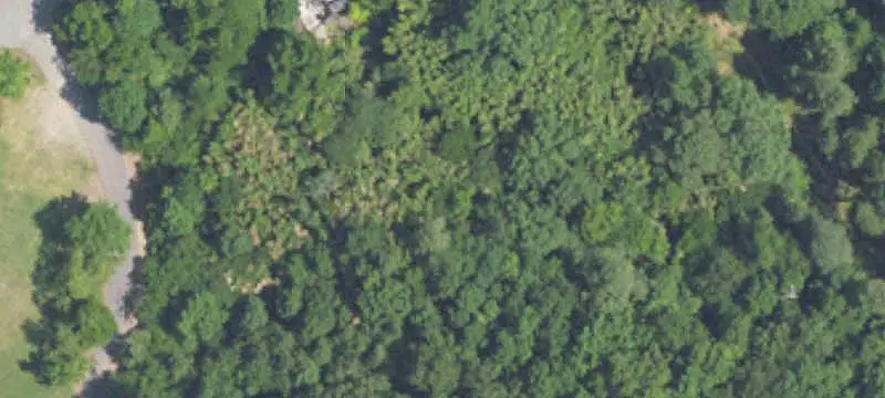 Commercial Land with R-6 Zoning