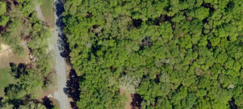 Wooded Hunting Land