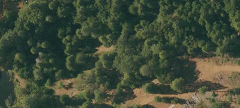 Walnut Orchard Agricultural Land