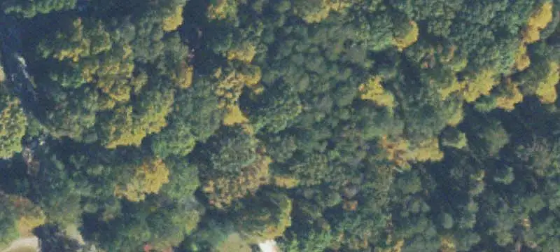 Land / Unimproved Land