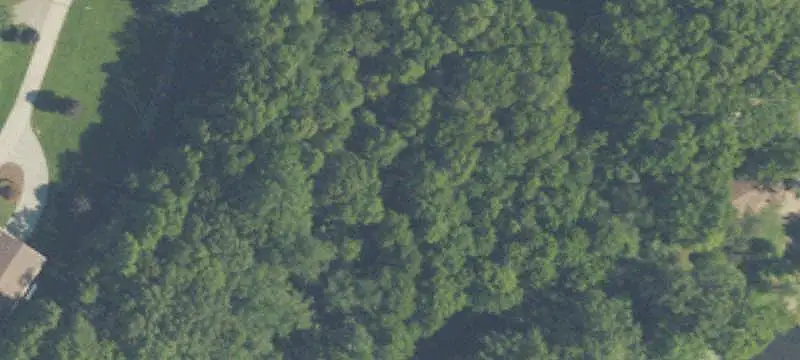 Wooded Waterfront Land