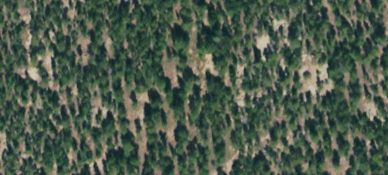 Elk Meadow Mountain Ranch