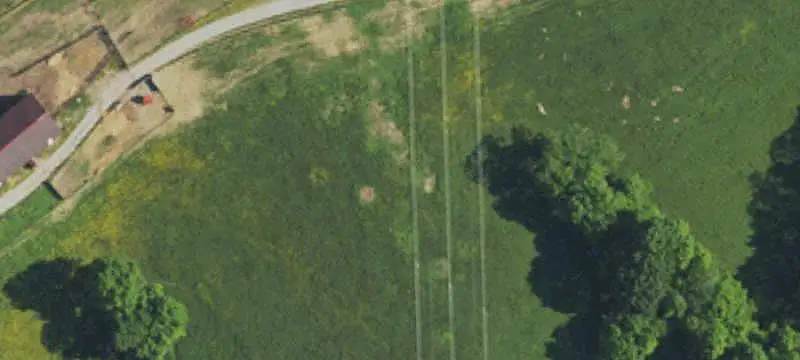 Farm with Cattle Facility