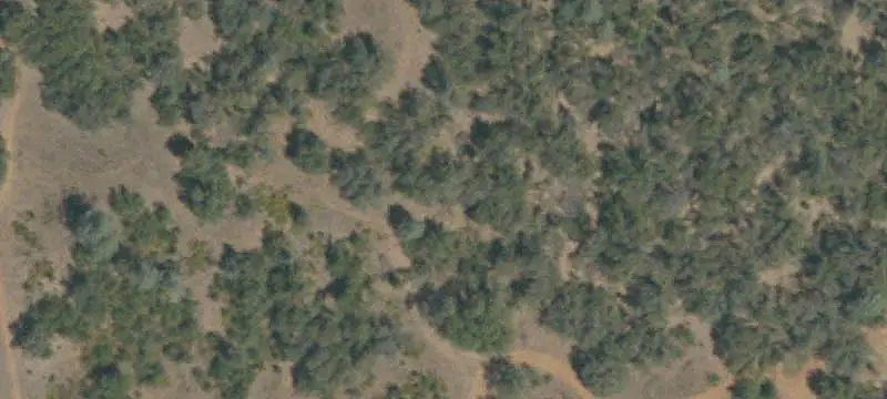 Lots/Land