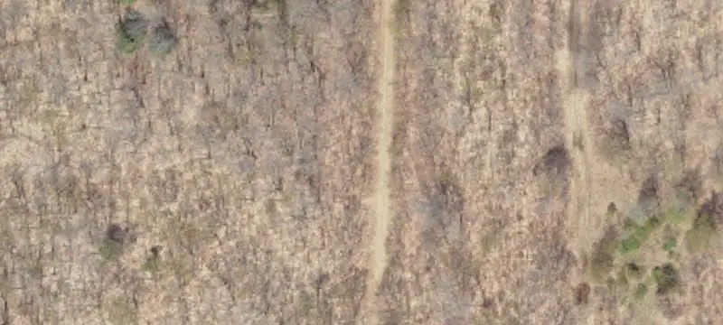 Hunting Land with Pole Building