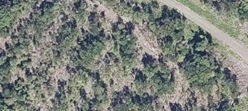 Shoreland Recreation Land