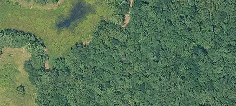 Unimproved Land