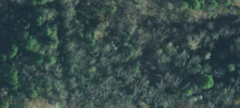 Wooded Acreage Land