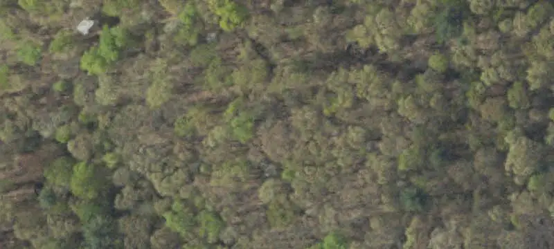 Land