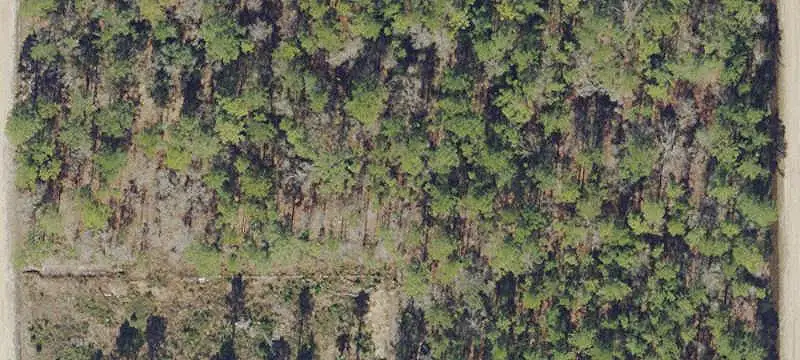 Lots And Land / Land/Acreage