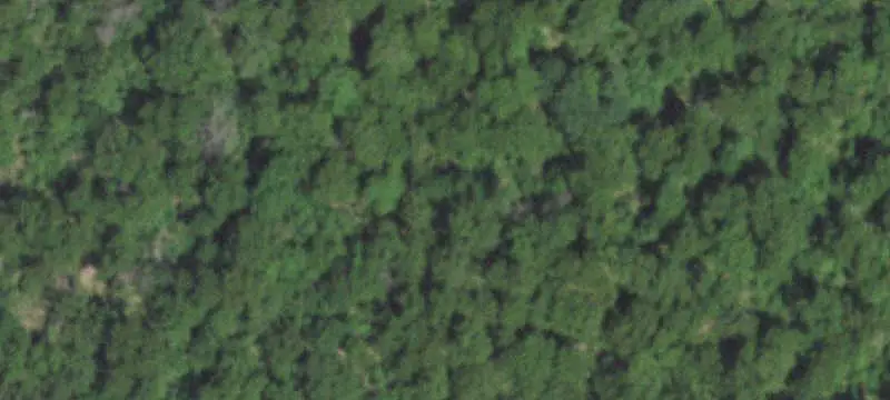 Flat Hardwood Hunting Land