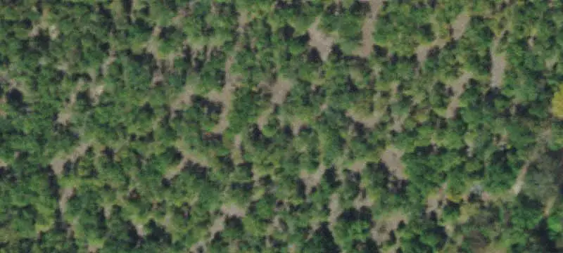 Unimproved Land