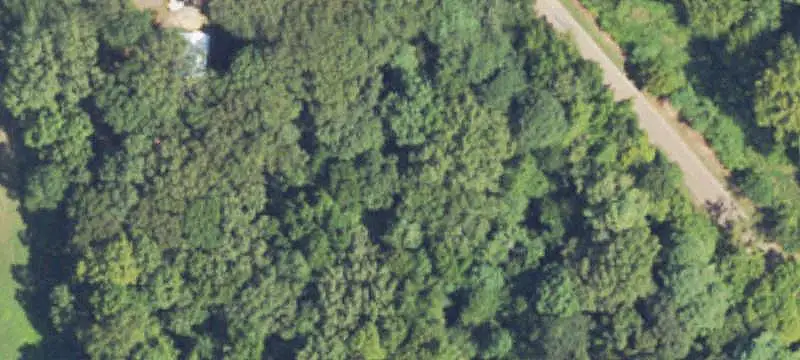 Hunting Land with Furnished Cabin