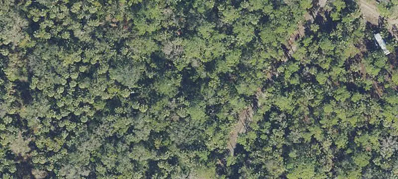 Wooded Rural Land