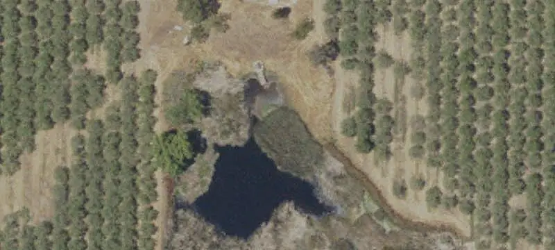 Almond Farm with Hilltop Homesite