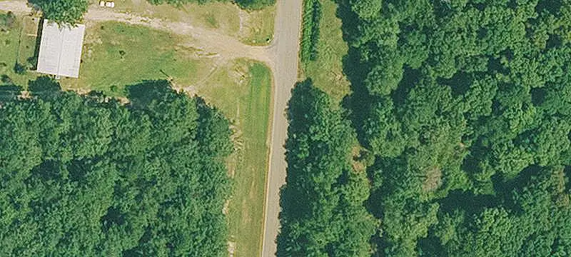 Hunting Land with Managed Timber