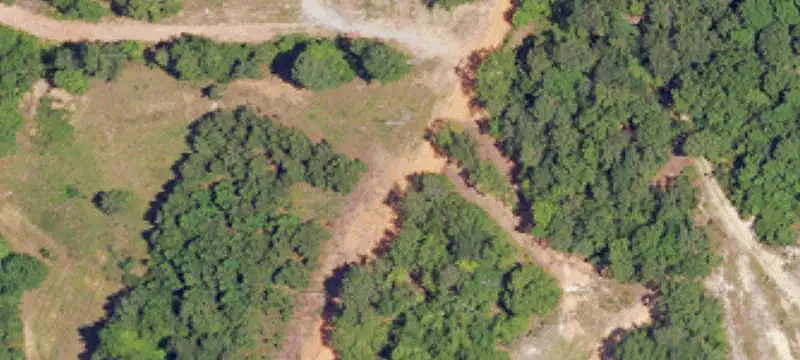 Pine Hunting Land with Cabin