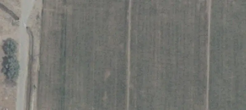 Fenced Agricultural Land