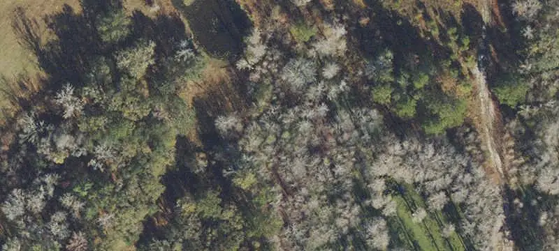 Land Parcel