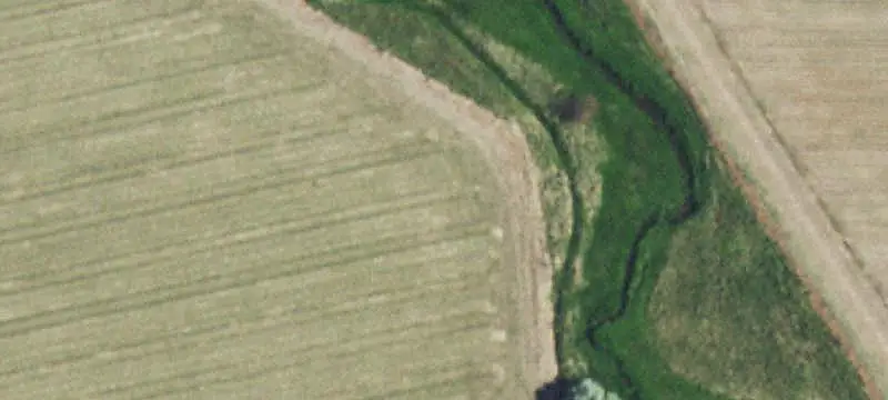 Farmland with Pond