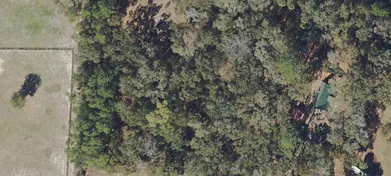 Agricultural Land Near Ocala Forest
