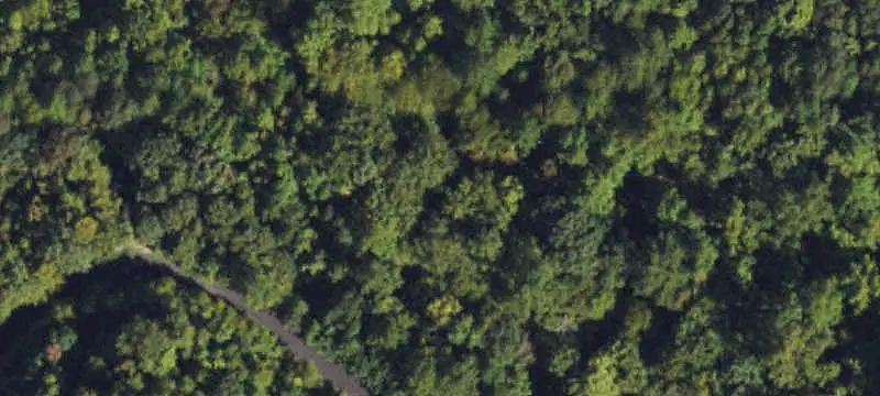 Land / Lot