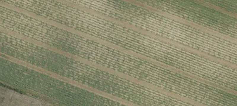 Agricultural Land Tract