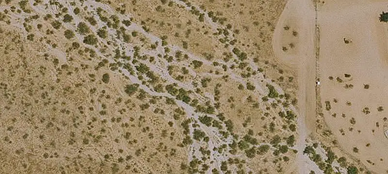 Land / Agriculture