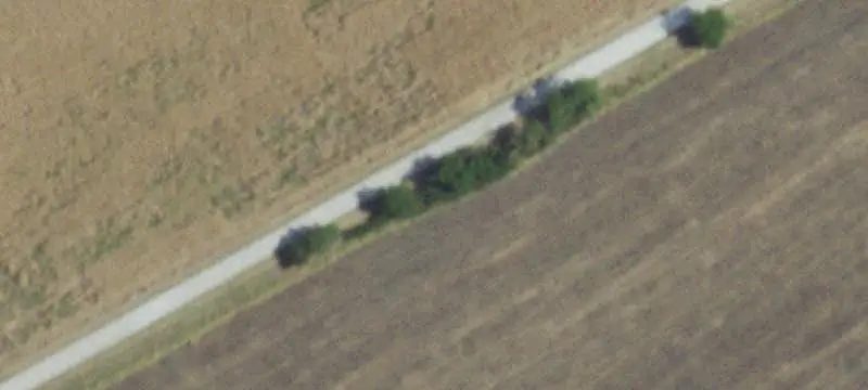 Lots & Acreage / Improved Land