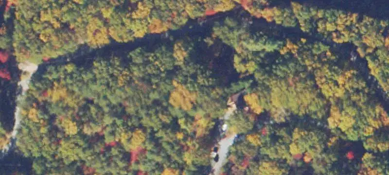 Wooded Mountain Land