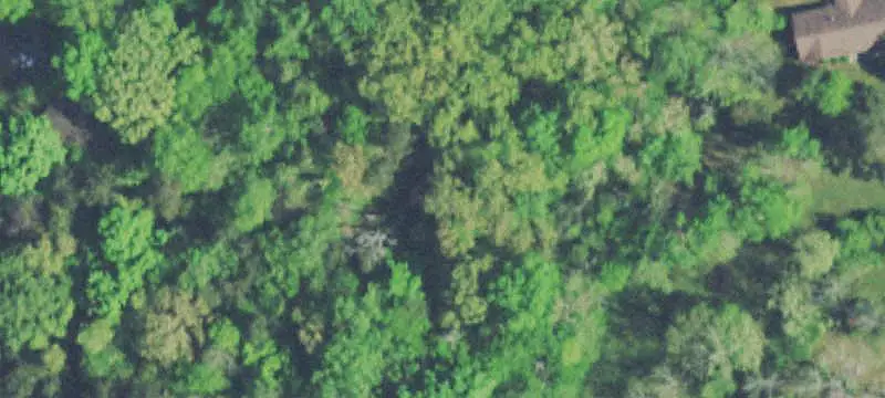 Residential Land Near School
