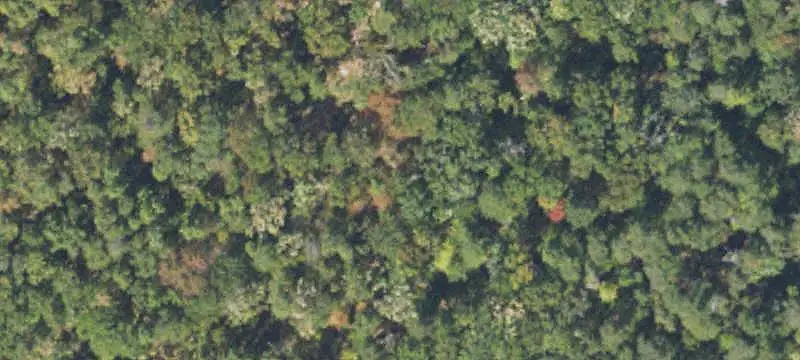 Unimproved Land