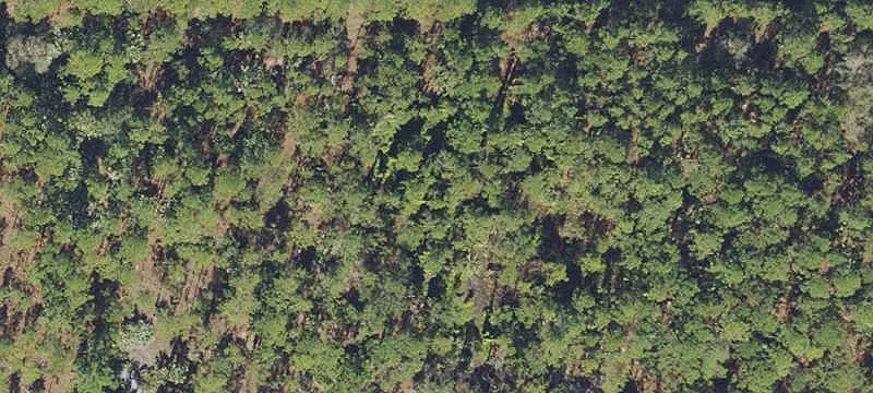 Lots/Land