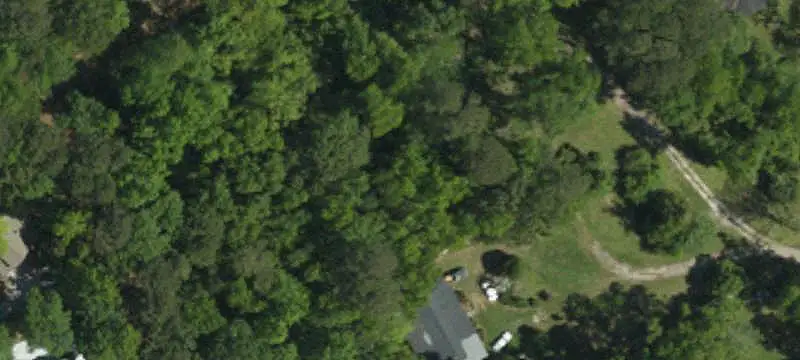 Wooded One-Acre Land Parcel