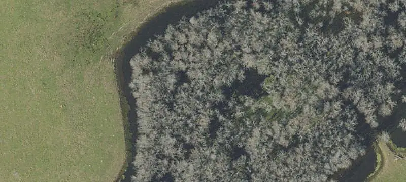 Vacant Land Near Town