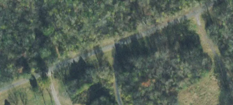Farm