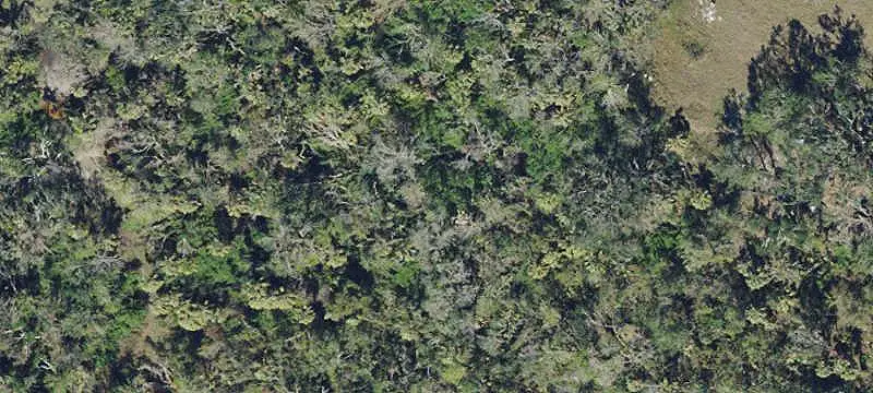Mostly Cleared Commercial Land
