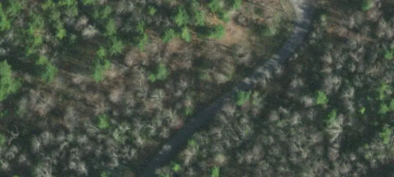 Cleared Farmland with Barn Building