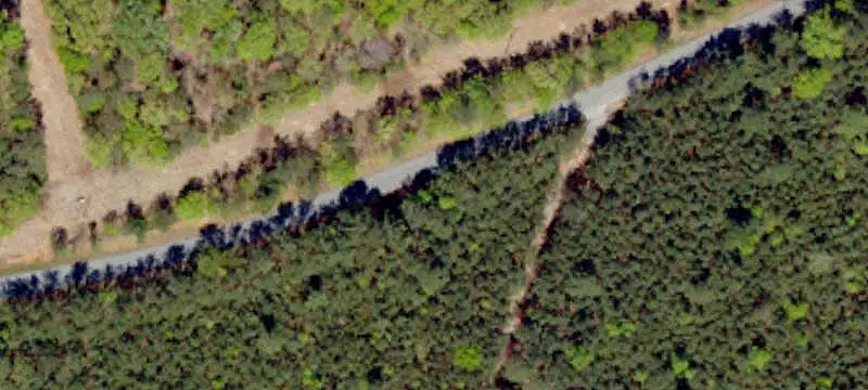 Rolling Land with Pond