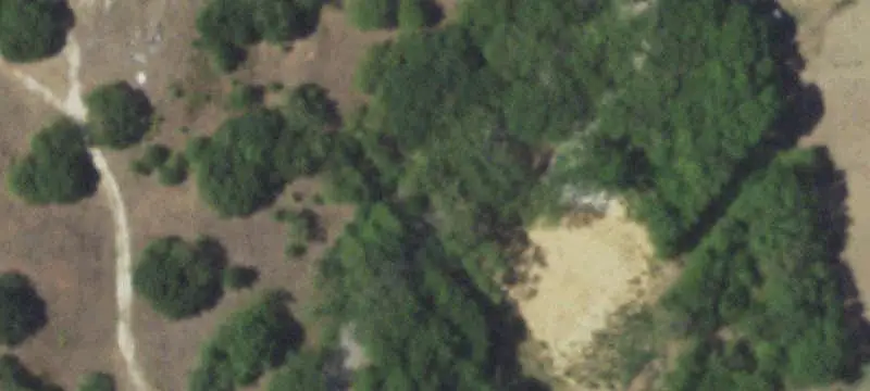 Rolling Agricultural Tract with Ponds