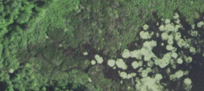 Lots/Land