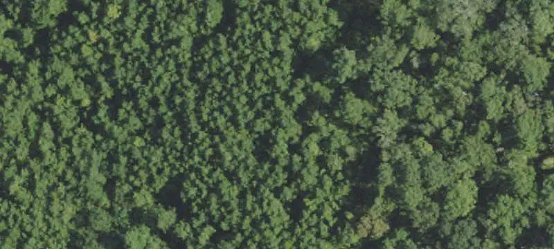 Land / Acreage (more than 10 acres)