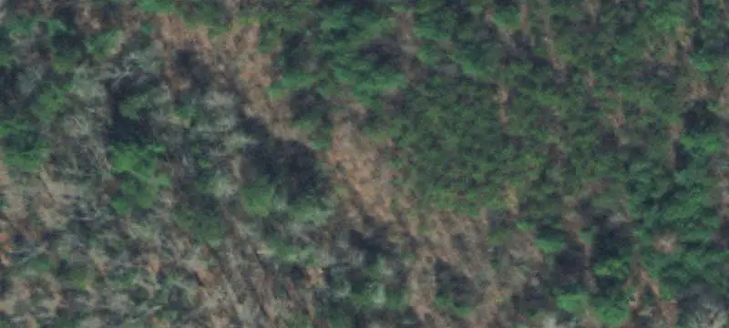 Lots & Acreage