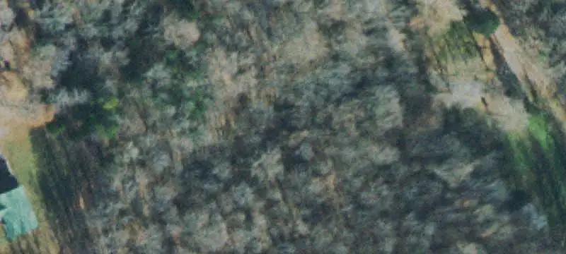 Farm with Barndominium