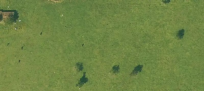 Flat Agricultural Land with Pond